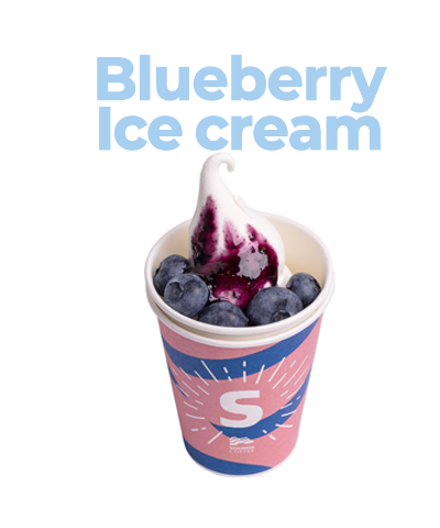 블루베리 아이스크림